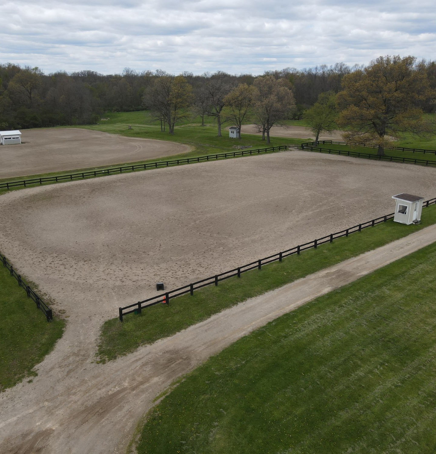 Where the Love of Horses Begins 