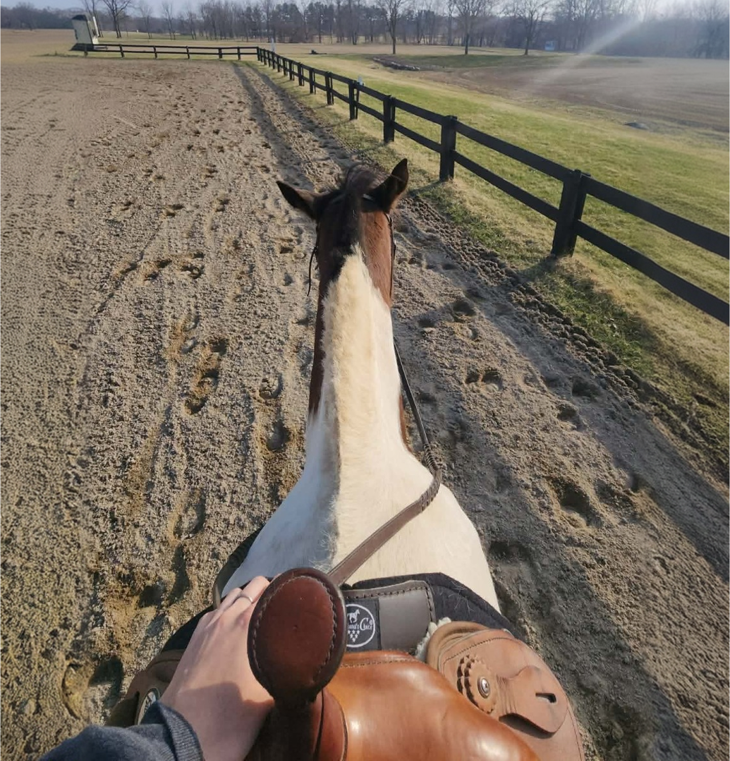 Three Generations of Horses. One Welcoming Farm.