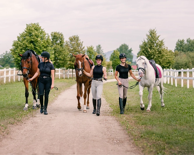 Riding instructor walking horses with student on path at Woodbine Farms Michigan