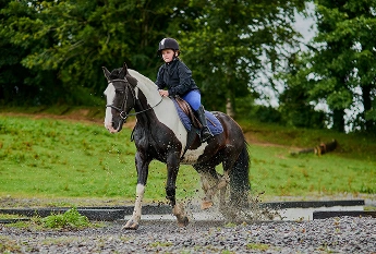 Adult beginner riding lesson at Woodbine Farms Michigan