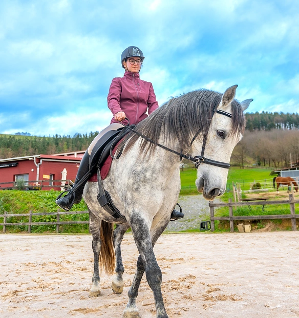 Indoor riding arena with sand footing at Woodbine Farms