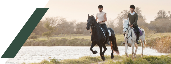 Horse tacking lesson for beginners at Woodbine Farms Michigan