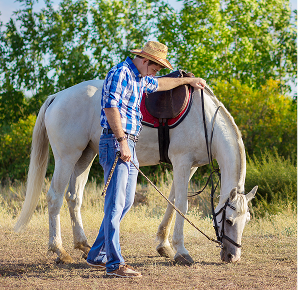 Semi-private riding lesson group at Woodbine Farms Chelsea MI